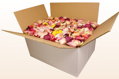 Caja de 24 litros