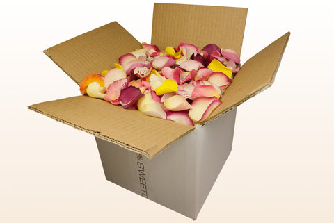 Caja de 8 litros