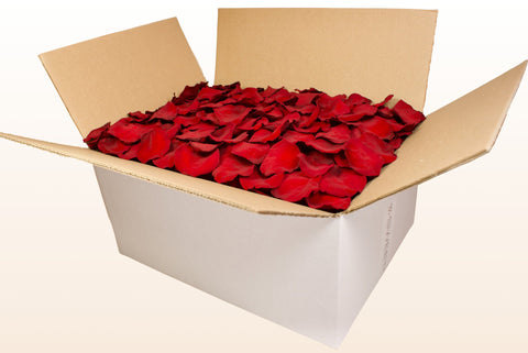 Caja de 24 litros