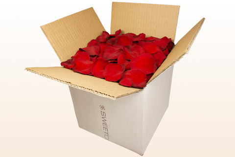 Caja de 8 litros