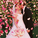 Cuántos pétalos de rosa se necesitan para una boda? – Vanityflor