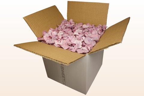 Caja de 8 litros