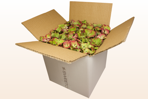 Caja de 8 litros