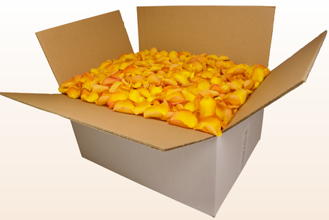 Caja de 24 litros