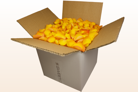 Caja de 8 litros