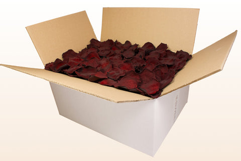 Caja de 24 litros