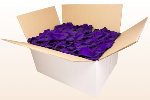 Caja de 24 litros