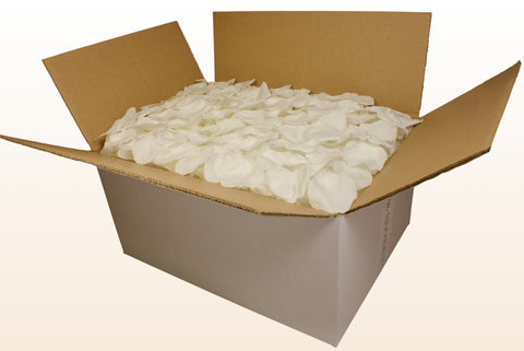 Caja de 24 litros