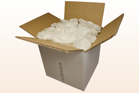 Caja de 8 litros