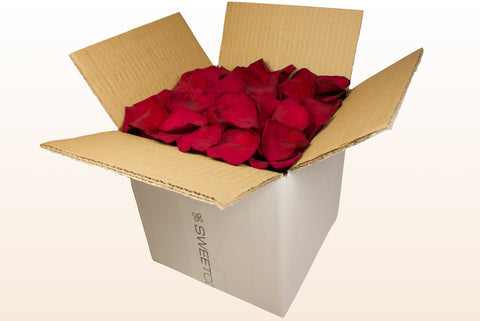 Caja de 8 litros