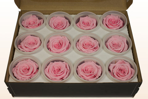 Tamaño S, 12 rosas