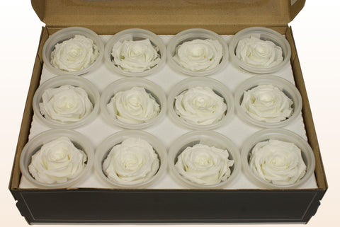 Tamaño S, 12 rosas